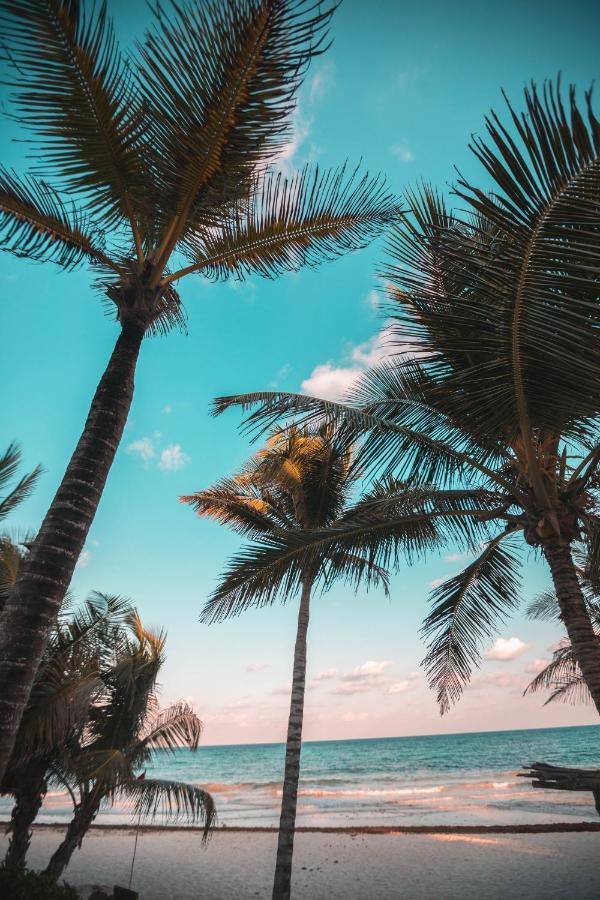 Breezy Beachfront Bali-Style Haven 180 Degree Oceanview Hau'ula Екстер'єр фото